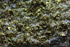 WhatsApp-Image-2024-08-27-at-06.31.32_adf788d3