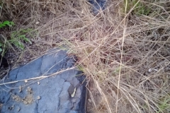 WhatsApp-Image-2024-08-27-at-07.57.34_9a18e4ed